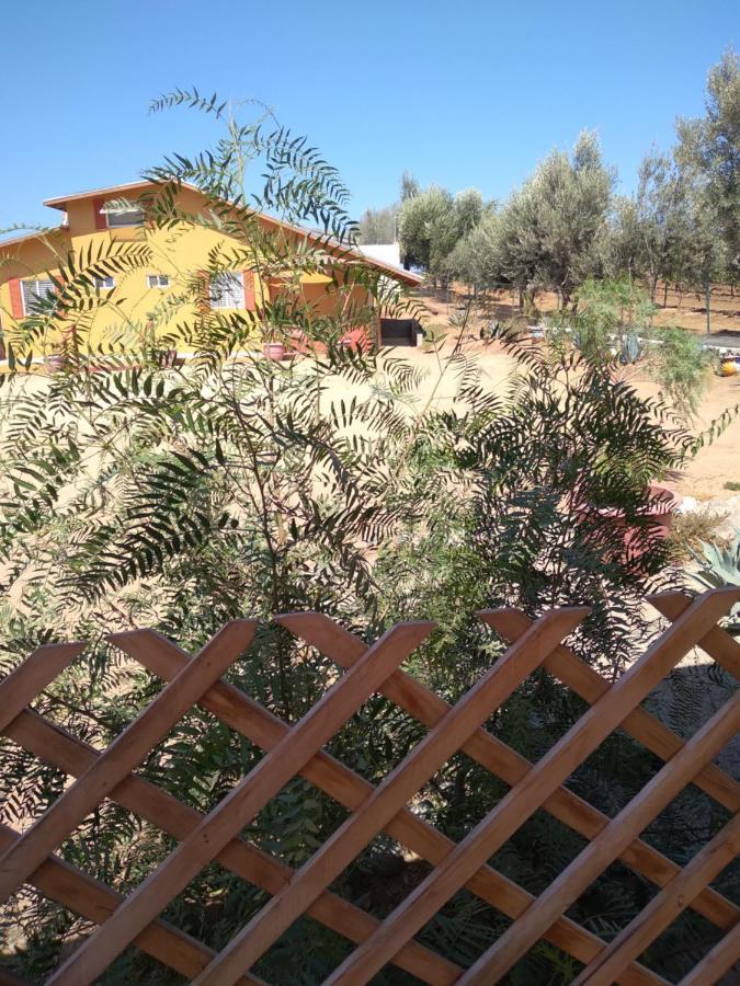 Posada Soleil Bed & Breakfast Valle de Guadalupe Exteriör bild